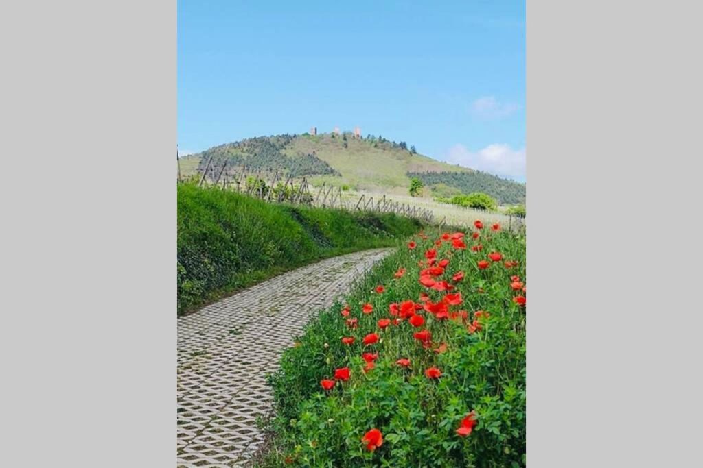 Gite à Eguisheim proche de Colmar et Kaysergberg. Exterior foto
